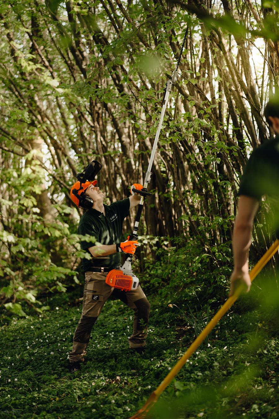 Mitarbeiter mit Hochentaster im Wald